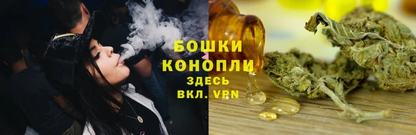 PSILOCYBIN Армянск