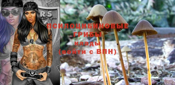 PSILOCYBIN Армянск