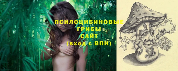 PSILOCYBIN Армянск