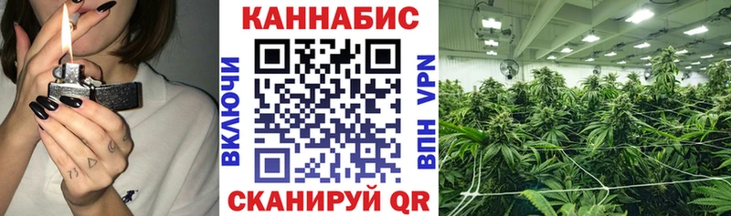 где продают   Новая Ладога  Конопля LSD WEED 